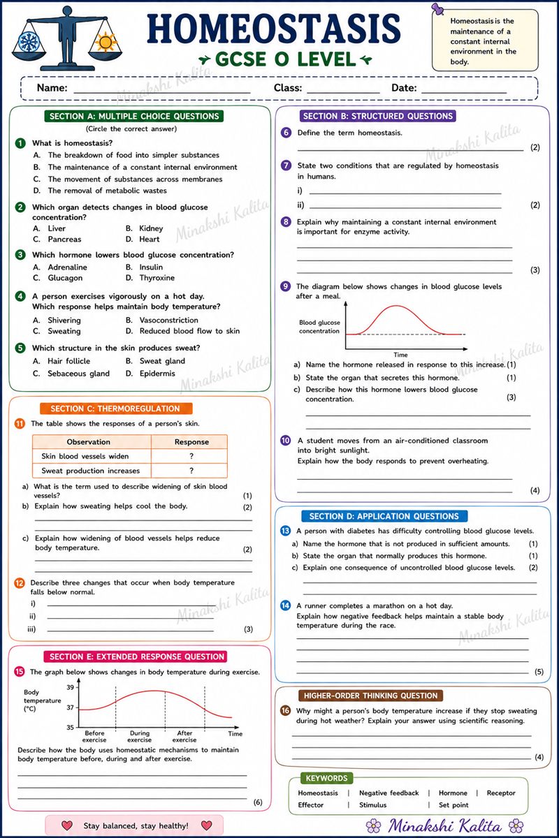 Homeostasis Worksheet GCSE O Level